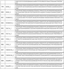 Figure BDA0002379404260001561