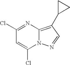 Figure US07119200-20061010-C00571