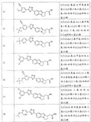 Figure BPA00001230587800501