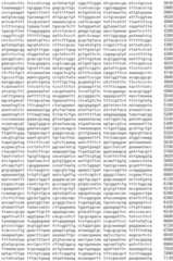 Figure IDA0002536600790000171