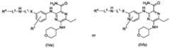 Figure imgf000445_0002