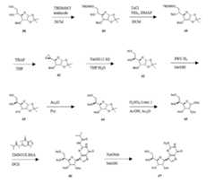 Figure imgf000090_0001