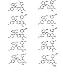 Figure BPA00001406404400691