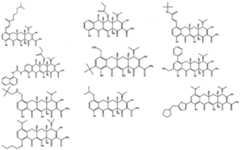 Figure imgf000033_0001