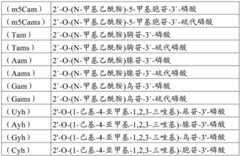 Figure BDA0001578122210001311