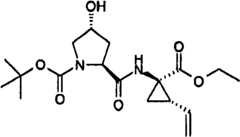 Figure BSA00000676350901161