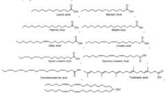 Figure imgf000009_0001