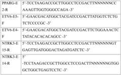 Figure BDA0002941617010000111