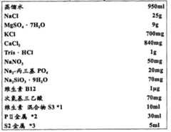 Figure A20091012889000151