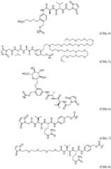 Figure imgf000205_0001