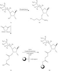 Figure US08883752-20141111-C00077