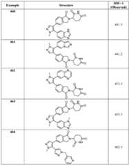 Figure imgf000303_0001