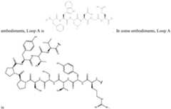 Figure imgf000057_0002