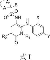 Figure FDA0000111856210000011