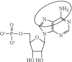 Figure US09271996-20160301-C00092