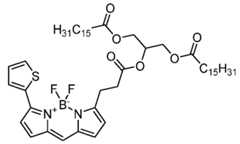Figure imgf000323_0001