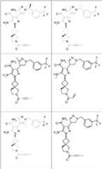 Figure imgf000092_0001