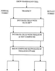 Figure imgf000053_0001