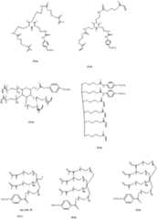 Figure JPOXMLDOC01-appb-C000009