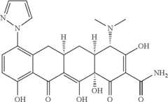 Figure US08088820-20120103-C00533
