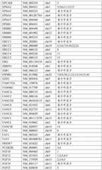 Figure BDA0002159872460000061