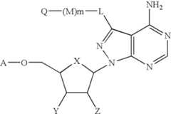 Figure US06844433-20050118-C00053