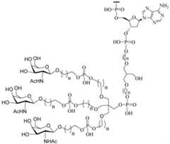 Figure imgf000441_0002