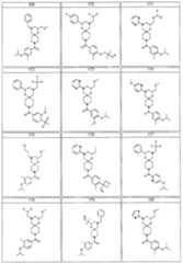 Figure imgf000048_0001