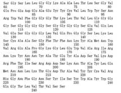 Figure 108144714-A0101-12-0144-217