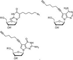 Figure AU2013315225B2_D0011