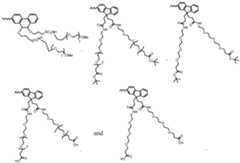 Figure imgf000081_0001