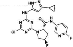 Figure GPA00001066806500751