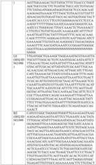 Figure BDA0004033970230005001