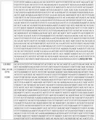 Figure imgf000183_0001