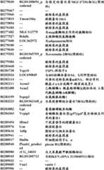 Figure BDA0000057170160001671