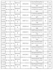 Figure 0007646616000203