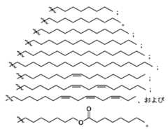 Figure 0007488193000255