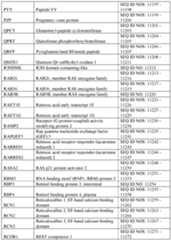 Figure imgf000407_0001