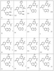 Figure 0006990229000022