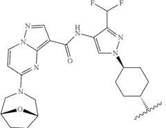 Figure US11807636-20231107-C00187