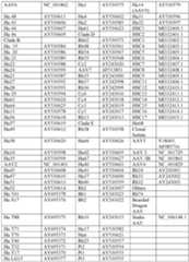 Figure imgf000011_0001