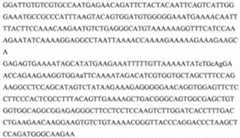 Figure 662228DEST_PATH_IMAGE004