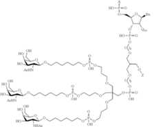 Figure US10927372-20210223-C00110