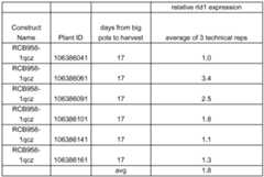 Figure imgf000037_0001
