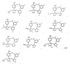 Figure imgf000035_0001