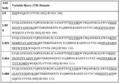Figure imgf000015_0001