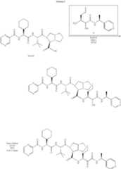 Figure US07820671-20101026-C00143