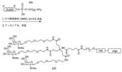 Figure 2023012548000791