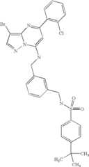 Figure US07119200-20061010-C03543