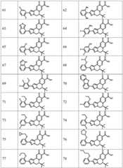 Figure FDA0003141290400000101